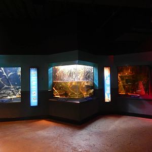 Jan. 2014 - World Rivers - Licking River + The Moving Mississippi + The Cav