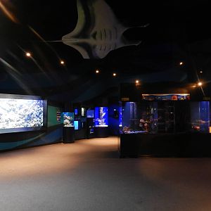 Jan. 2014 - Bizarre and Beautiful Gallery