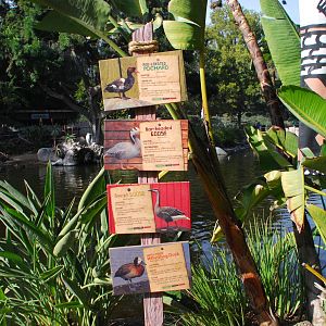 2014-01-09 Mombasa Lagoon New signs