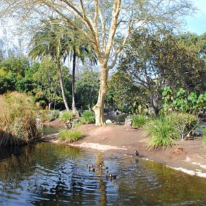 2014-01-09 Mombasa Lagoon landscaped island