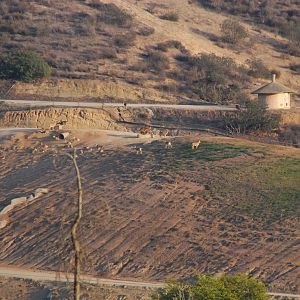 2014-01-09 Asian Field Exhibit - Need ID help?