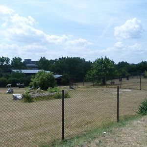 Rhea, crane and Lama enclosure