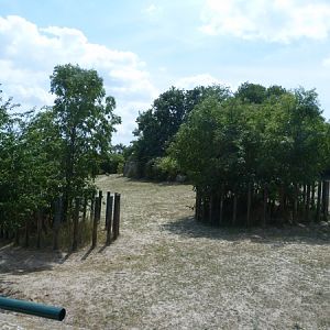 White Rhino enclosure