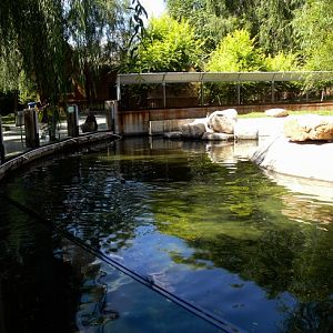 Oriental small-clawed otter enclosure, Changchun Zoo