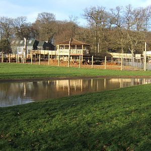 View of Giraffe House