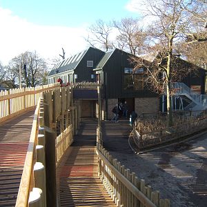 View of Giraffe House