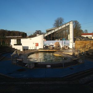 Sealion exhibit