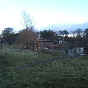 View of the cafe from the Train