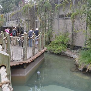 False Gharial Exhibit