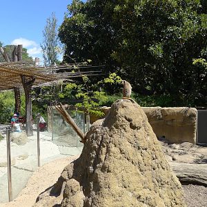 The new Growing Wild precinct