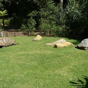 The new Growing Wild precinct