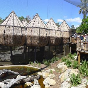 The exit huts on Lemur Island