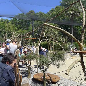 Lemur Island - dry zone