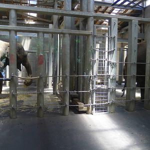 The elephant barn