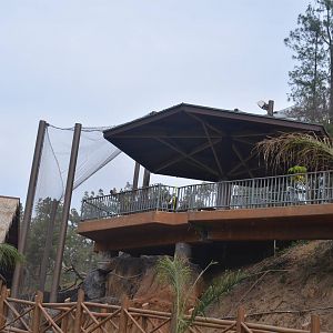 Rainforest of the Americas January 12, 2014