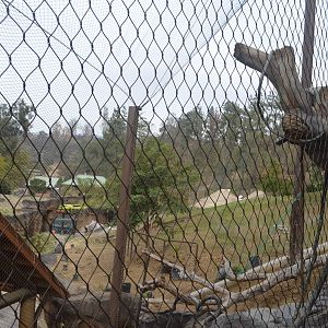 Rainforest of the Americas January 12, 2014