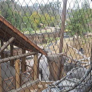 Rainforest of the Americas January 12, 2014