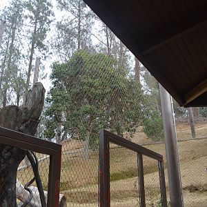 Rainforest of the Americas January 12, 2014