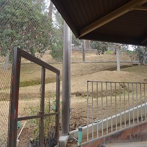 Rainforest of the Americas January 12, 2014