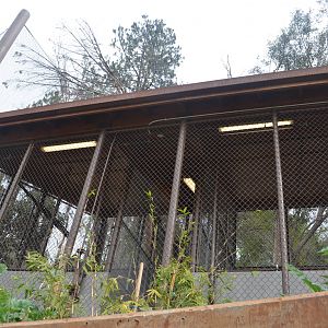 Rainforest of the Americas January 12, 2014