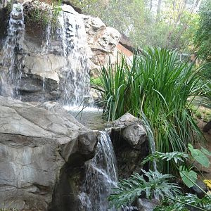 Aviary Waterfall