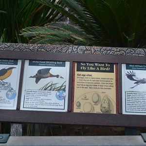 Aviary Signage