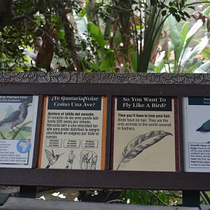 Aviary Signage