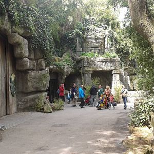 entrance elephant house