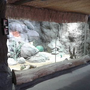 Desert enclosure in the Ocean