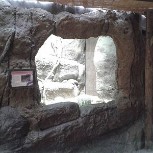 Snake enclosure in the Ocean