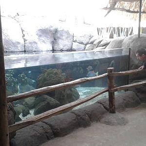 Aquarium in the Ocean