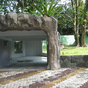 views of the new sun bear enclosure, under construction