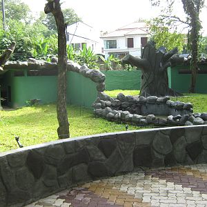 views of the new sun bear enclosure, under construction