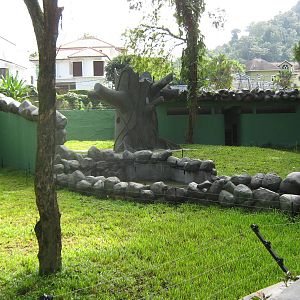 views of the new sun bear enclosure, under construction