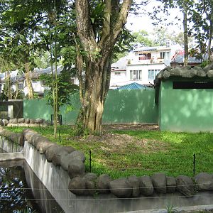 views of the new sun bear enclosure, under construction