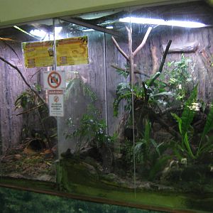 reptile tanks