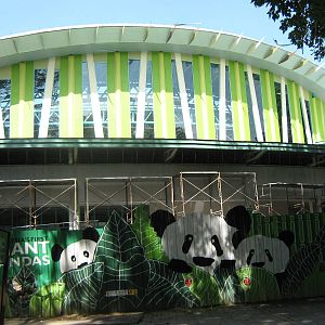 giant panda house, under construction