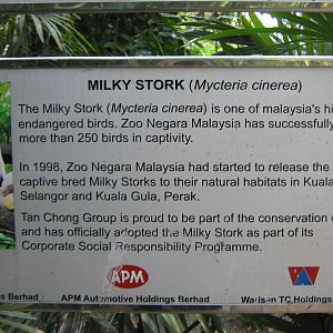 sign about the milky stork breeding programme