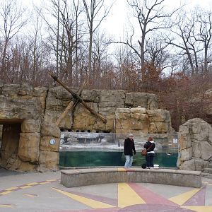 Penguin Point - January 2014