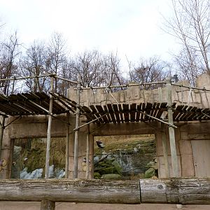 Andean Condor Exhibit - Jan. 2014