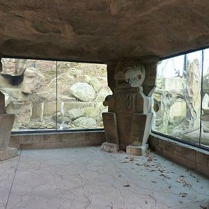 Jaguar Exhibit - January 2014