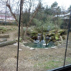 Sumatran Tiger Exhibit - January 2014
