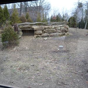 Red Wolf Exhibit - Grizzly Ridge