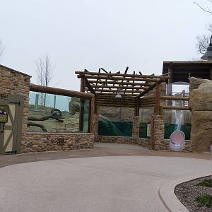 River Otter Exhibit - Grizzly Ridge
