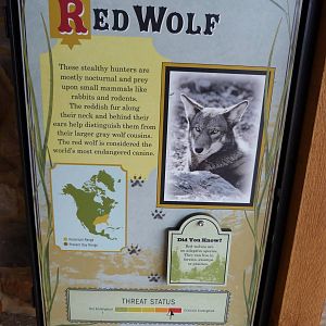 Red Wolf Signage