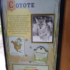 Coyote Signage