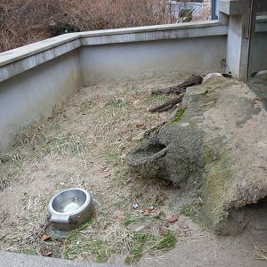 Groundhog Exhibit