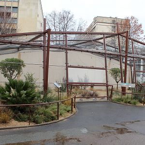 Houbara Bustard Aviary - Jan 2014