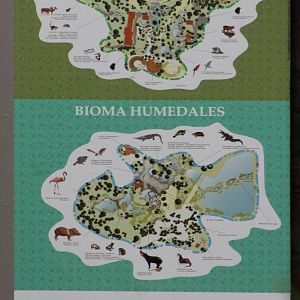 Another plan of the Zoo