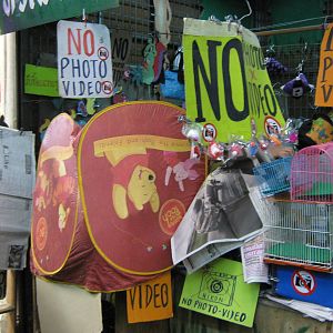 squirrel stall, Chatuchak Weekend Market, January 2014